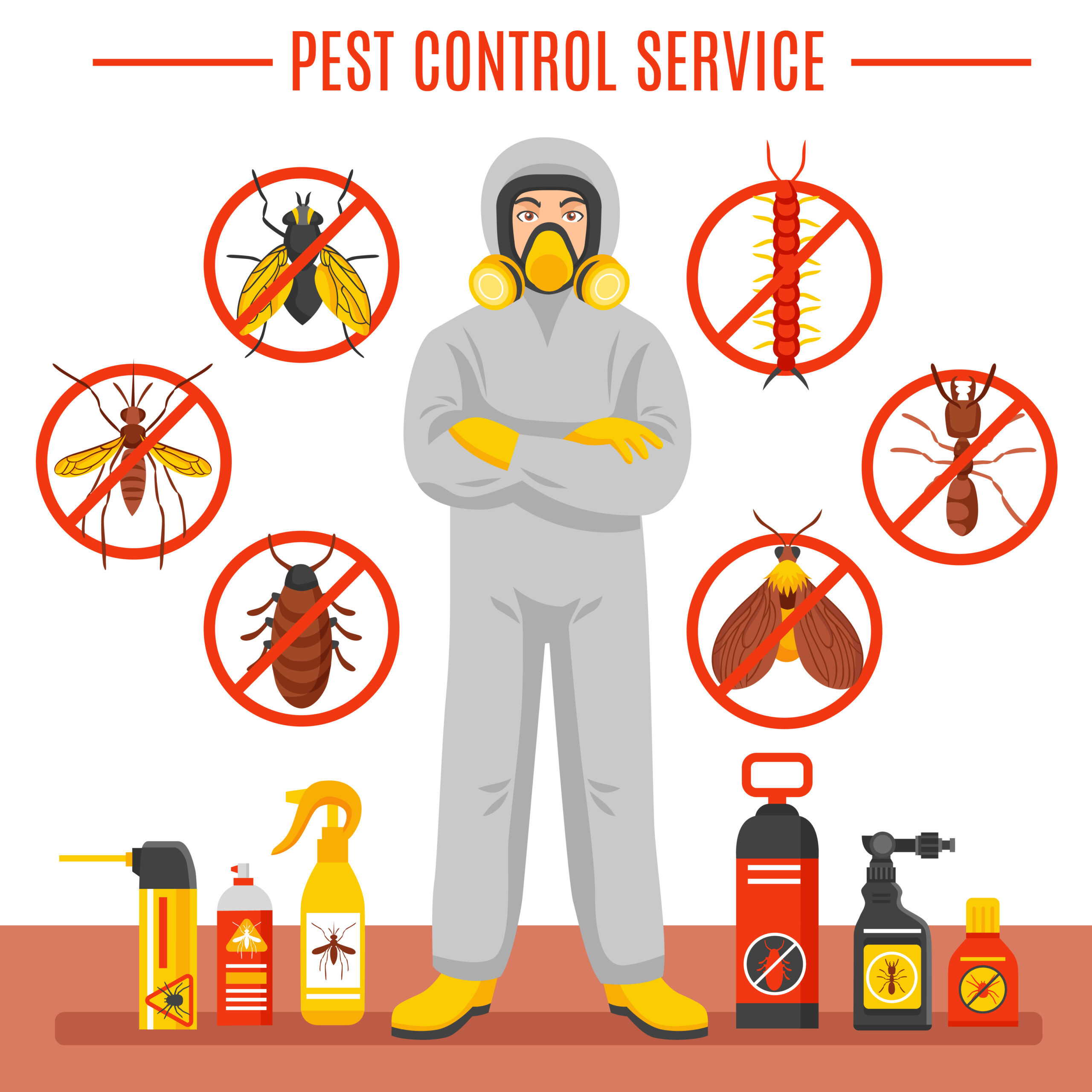 Anti-Termite Pest Control in Coimbatore