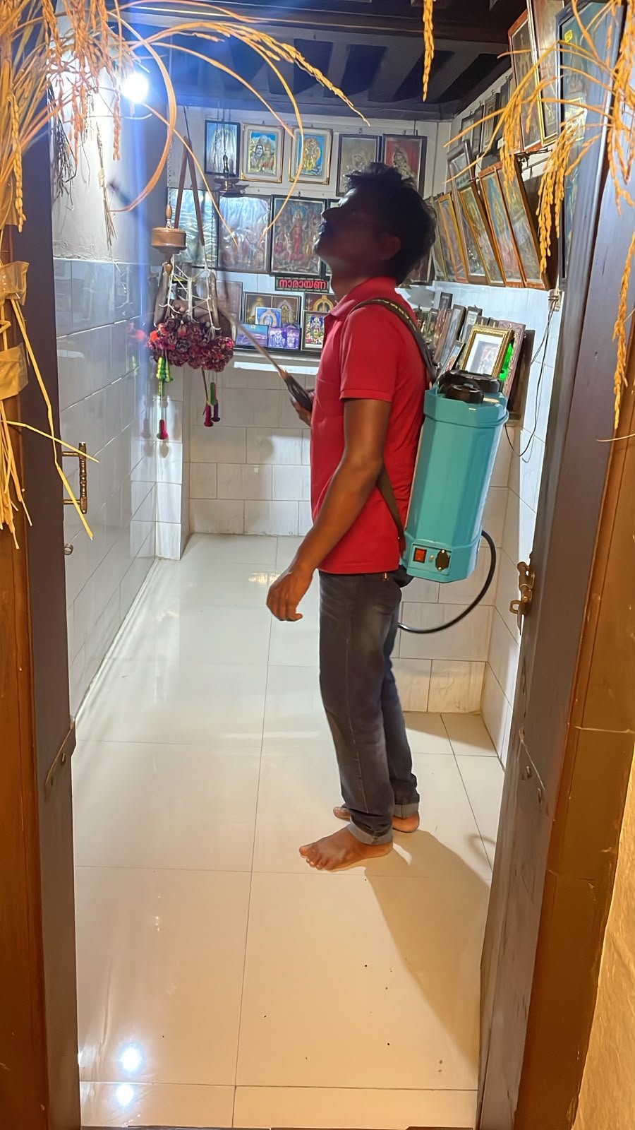 Ant Pest Control in Coimbatore