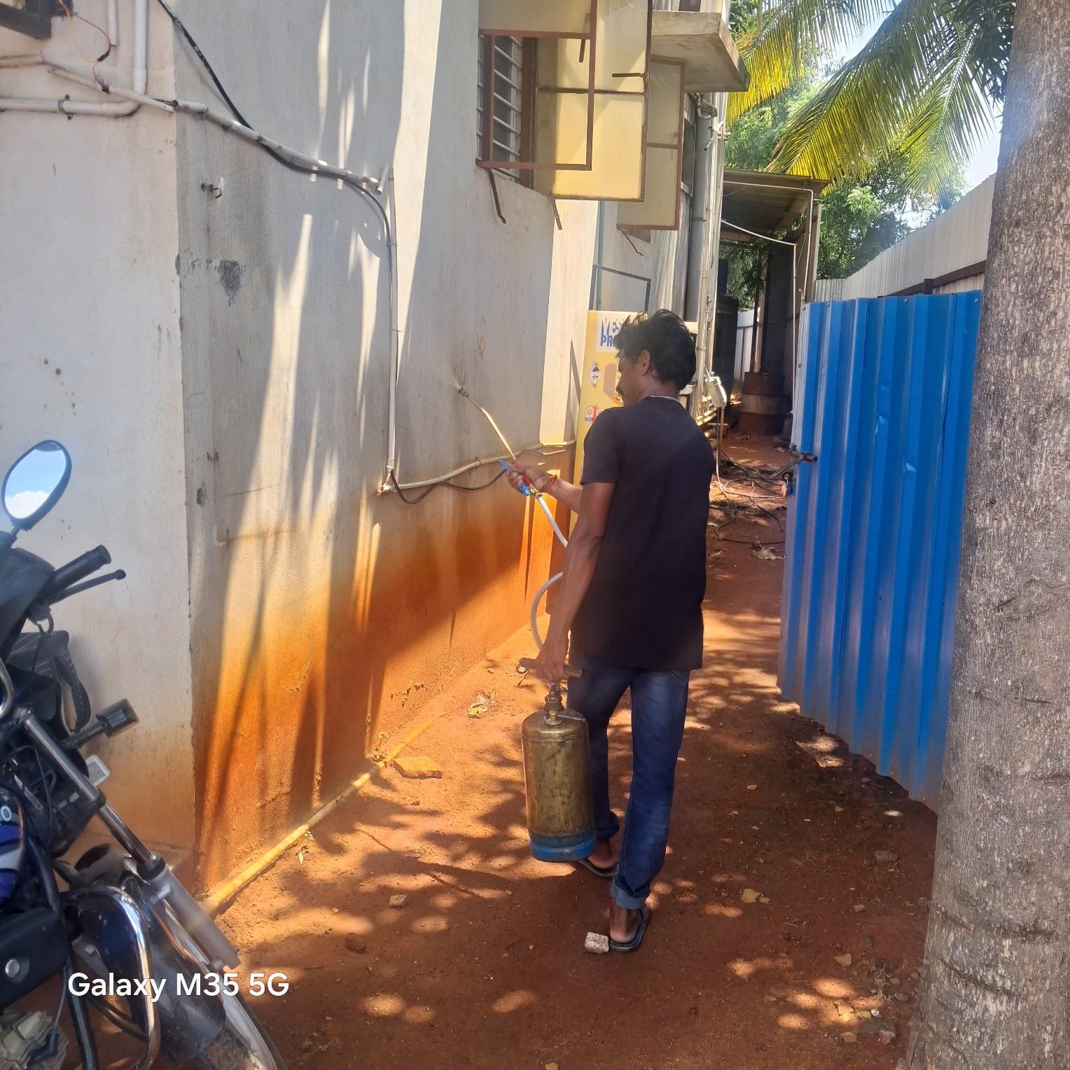 Cockroach Pest Control in Coimbatore